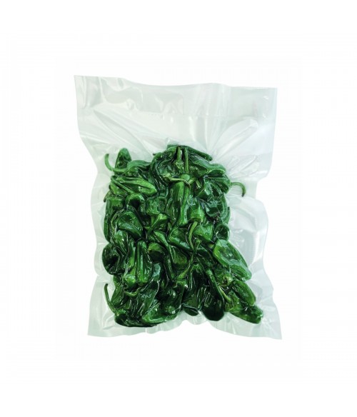 CJ. 600 BOLSAS VACIO 90 MY 400X500 TTE.