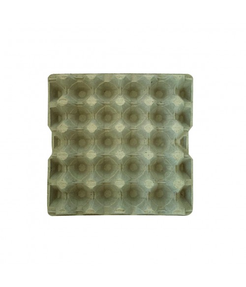 FR. 154 BANDEJA HUEVOS UNIVERSAL ESPAÑOL V2