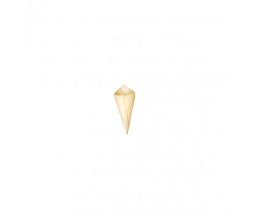 PQ. 50 CONO MADERA 60X80MM