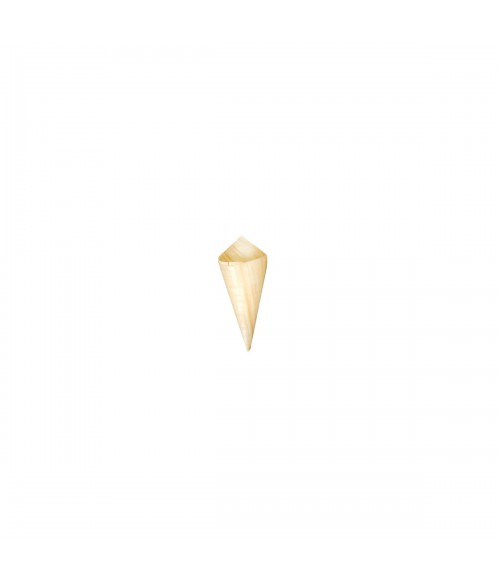 PQ. 50 CONO MADERA 60X80MM