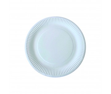 PQ. 100 PLATO DE CARTON 23 CMS