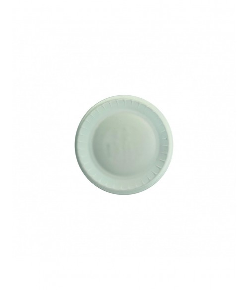 PQ.100 PLATO FOAM BLANCO 19CM