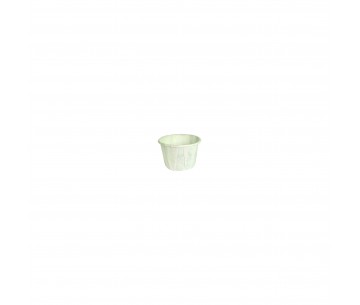 PQ. 250 SALSERO PAPEL 22ML