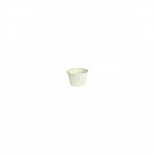 PQ. 250 SALSERO PAPEL 22ML