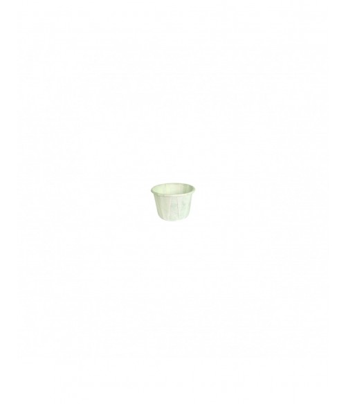 PQ. 250 SALSERO PAPEL 22ML