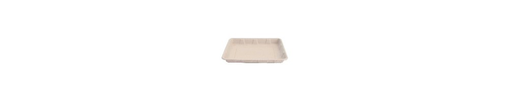 Bandejas de Caña | Compra Envases Sostenibles Online