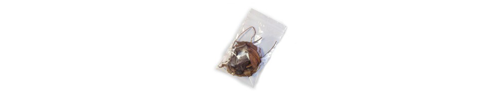 Bolsas de Plástico | Compra Bolsas Online
